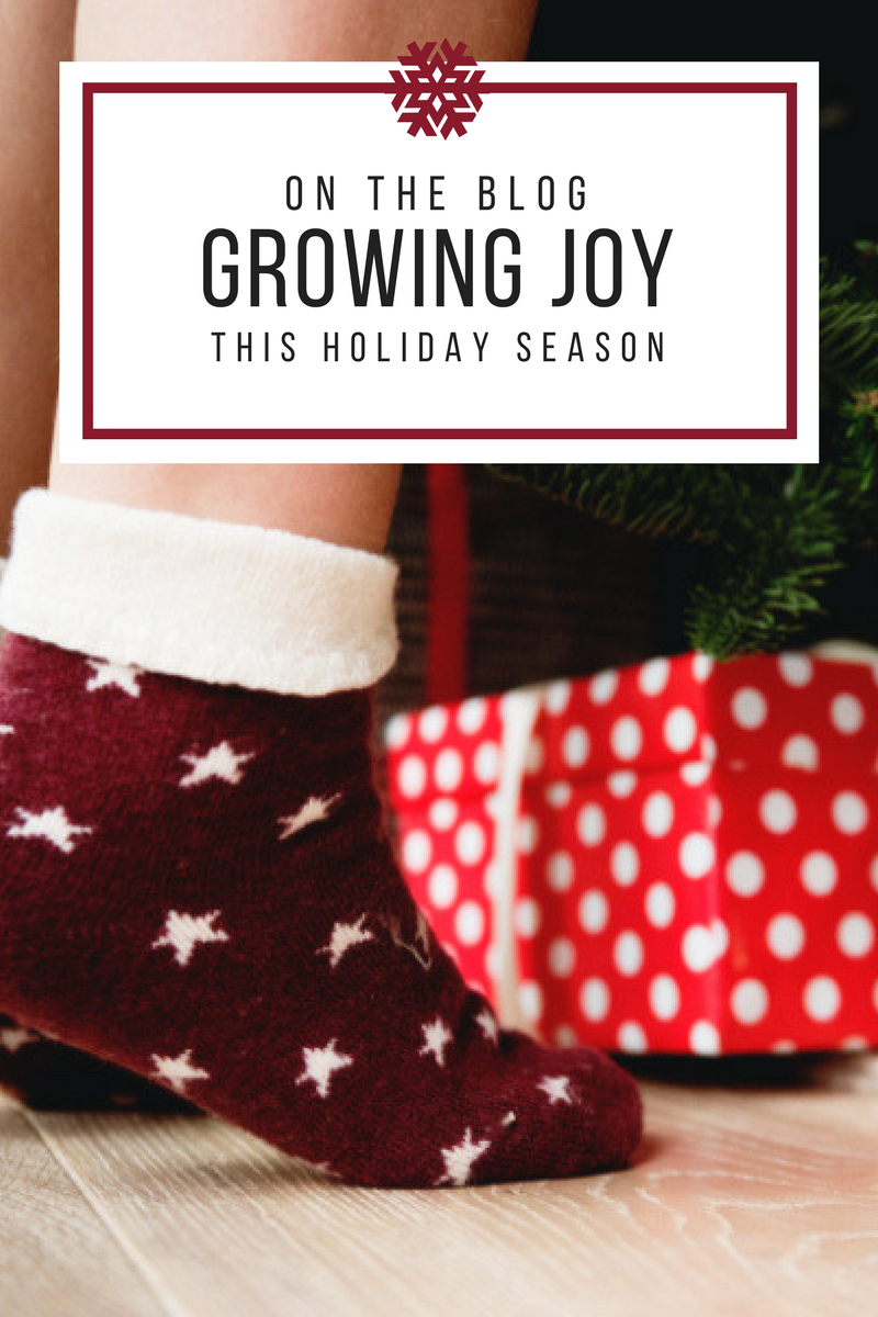 Growing Joy This Christmas